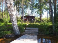 cabin in woods